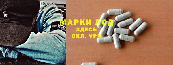 ГАЛЛЮЦИНОГЕННЫЕ ГРИБЫ Аркадак