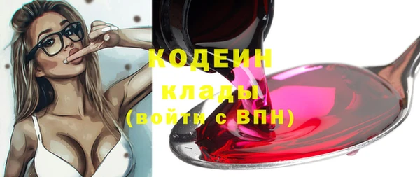 ГАЛЛЮЦИНОГЕННЫЕ ГРИБЫ Аркадак