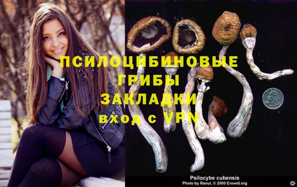 ГАЛЛЮЦИНОГЕННЫЕ ГРИБЫ Аркадак